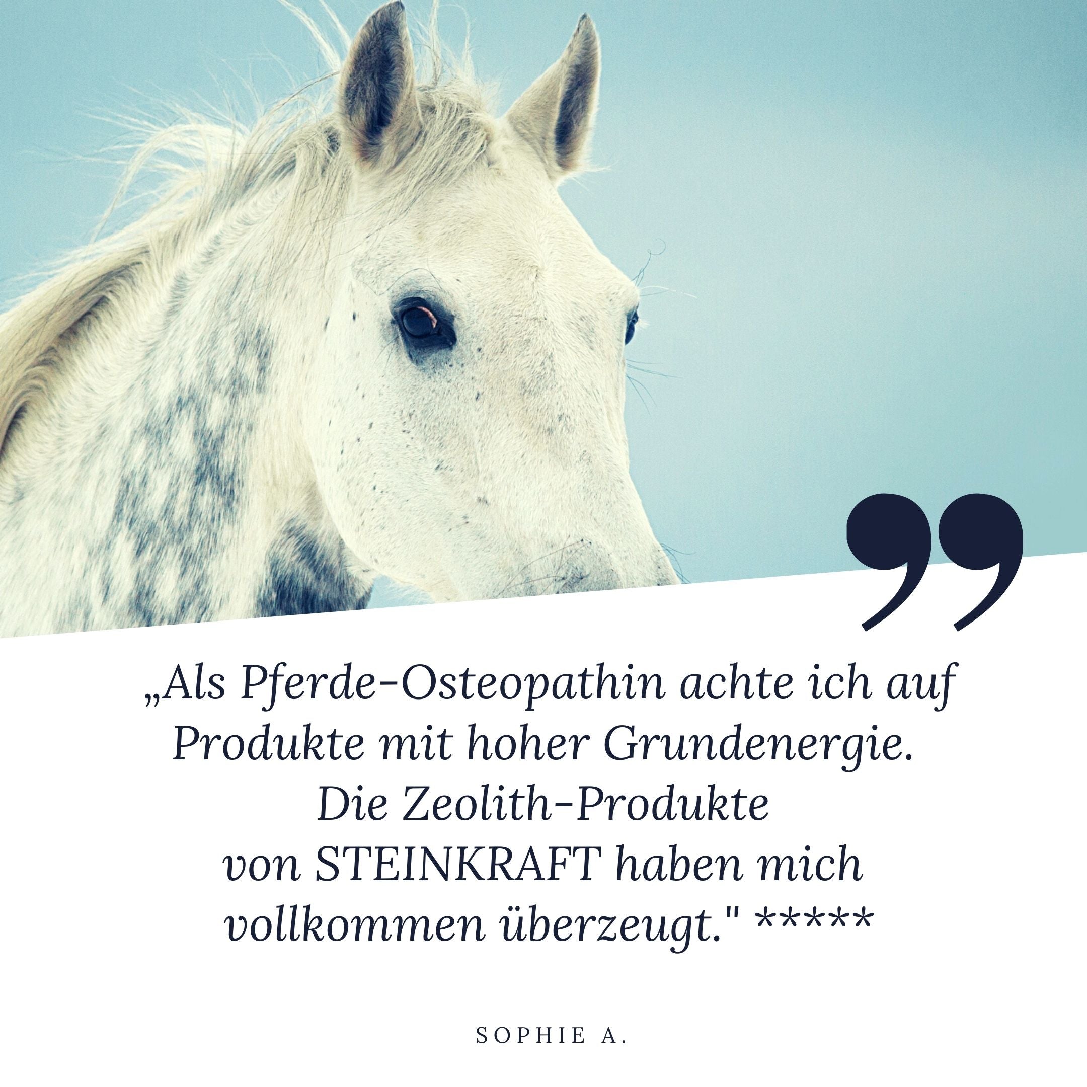 "Als Pferde-Osteopathin achte ich auf Produkte mit hoher Grundenergie. Die Zeolith-Produkte von STEINKRAFT haben mich vollkommen überzeugt", sagt Sophie und gibt 5 Sterne.