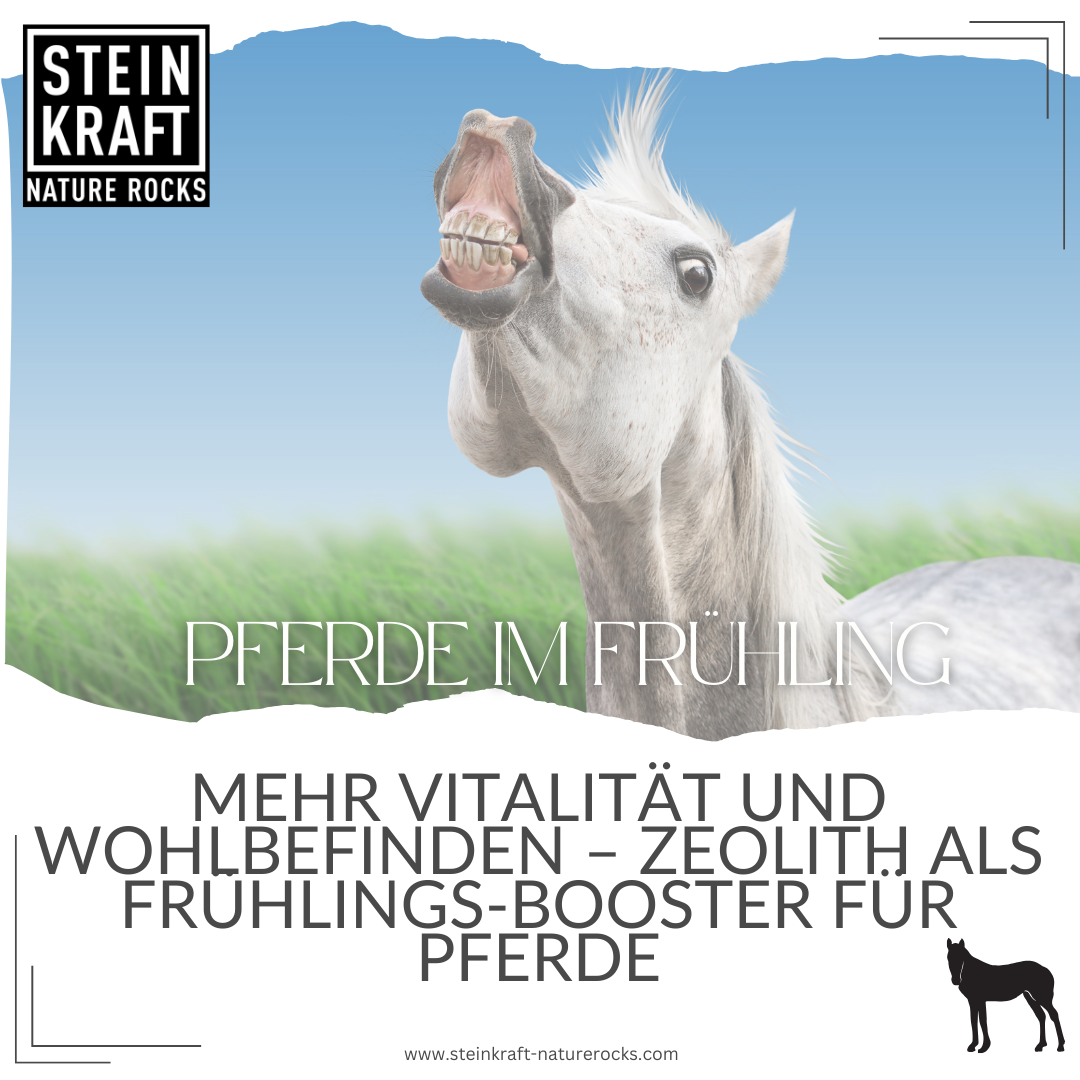 HORSEKRAFT Zeolith Pulver Pur Probe