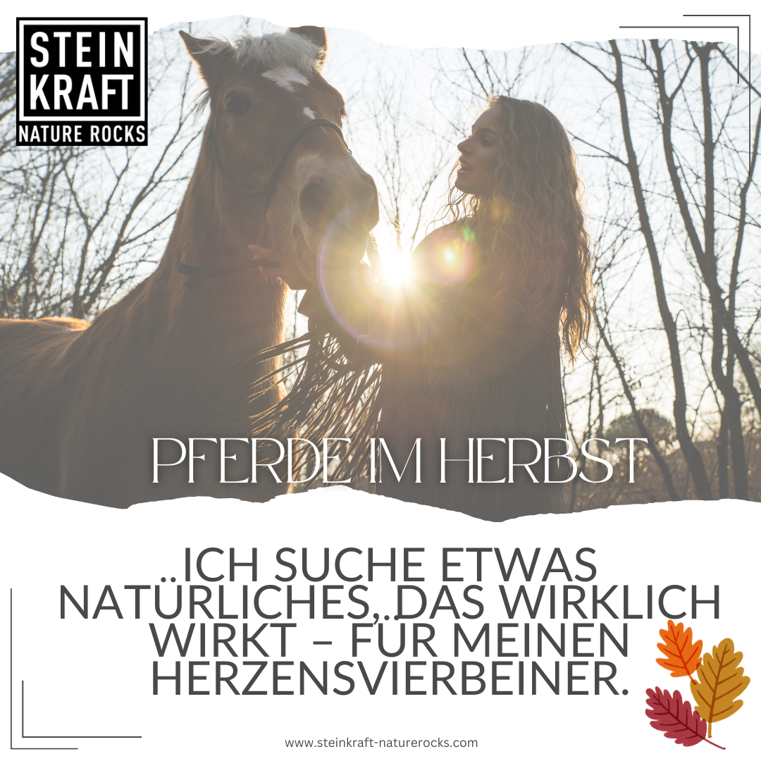 Zelith für Pferde im Herbst: Ich suche etwas Natürliches, das wirklich wirkt - für meinen Herzensvierbeiner.