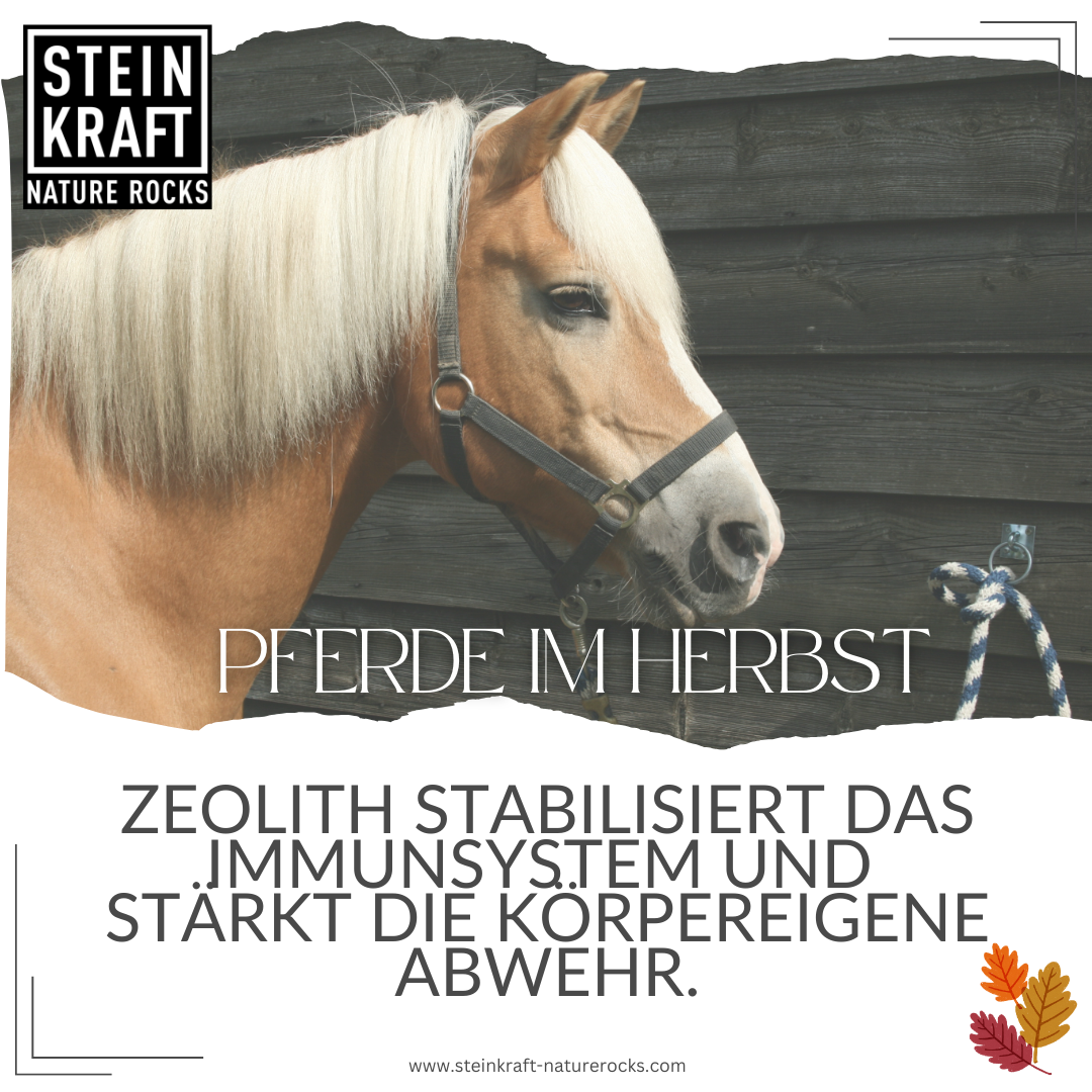 HORSEKRAFT Zeolith Pulver für Pferde