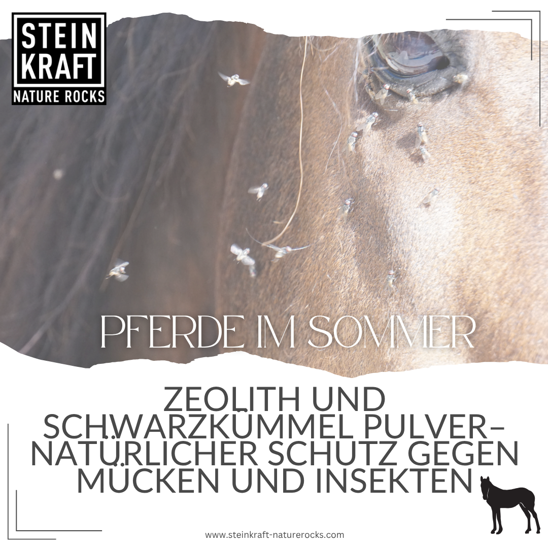 Zeolith und Schwarzkümmel Pulver als natürlicher Schutz gegen Mücken und Insekten