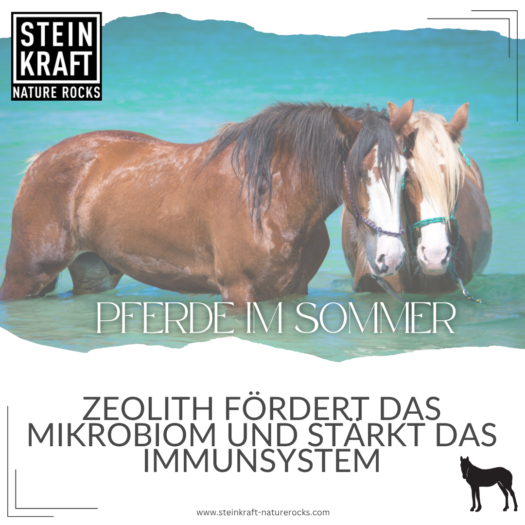 HORSEKRAFT Zeolith Pulver für Pferde