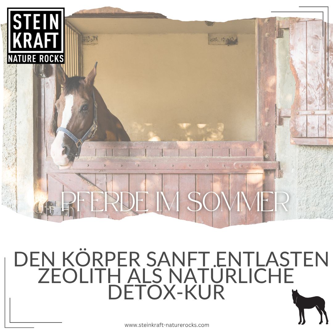 STEINKRAFT Zeolith Pulver und Pellets für Pferde im Sommer: Den Körper sanft entlasten Zeolith als natürliche DetoxKur