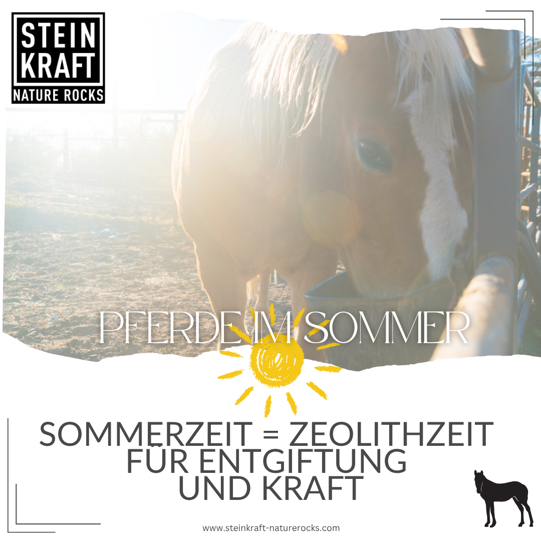 HORSEKRAFT Zeolith Pulver für Pferde