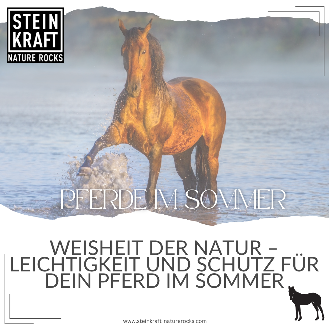 Zeolith für Pferde im Sommer: Weisheit der Natur - Leichtigkeit und Schutz für dein Pferd im Sommer