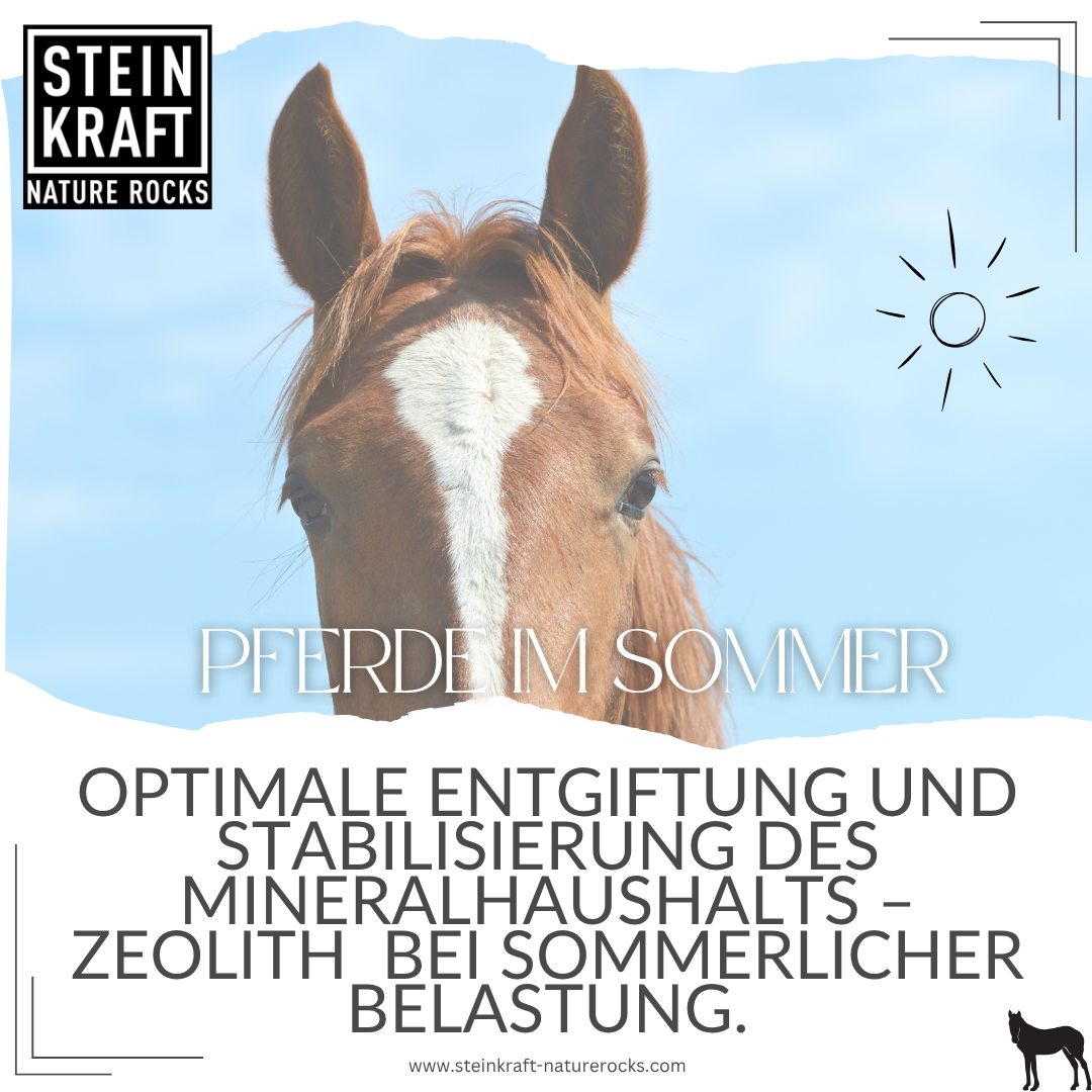 HORSEKRAFT Zeolith Pellets für Pferde 1,4kg
