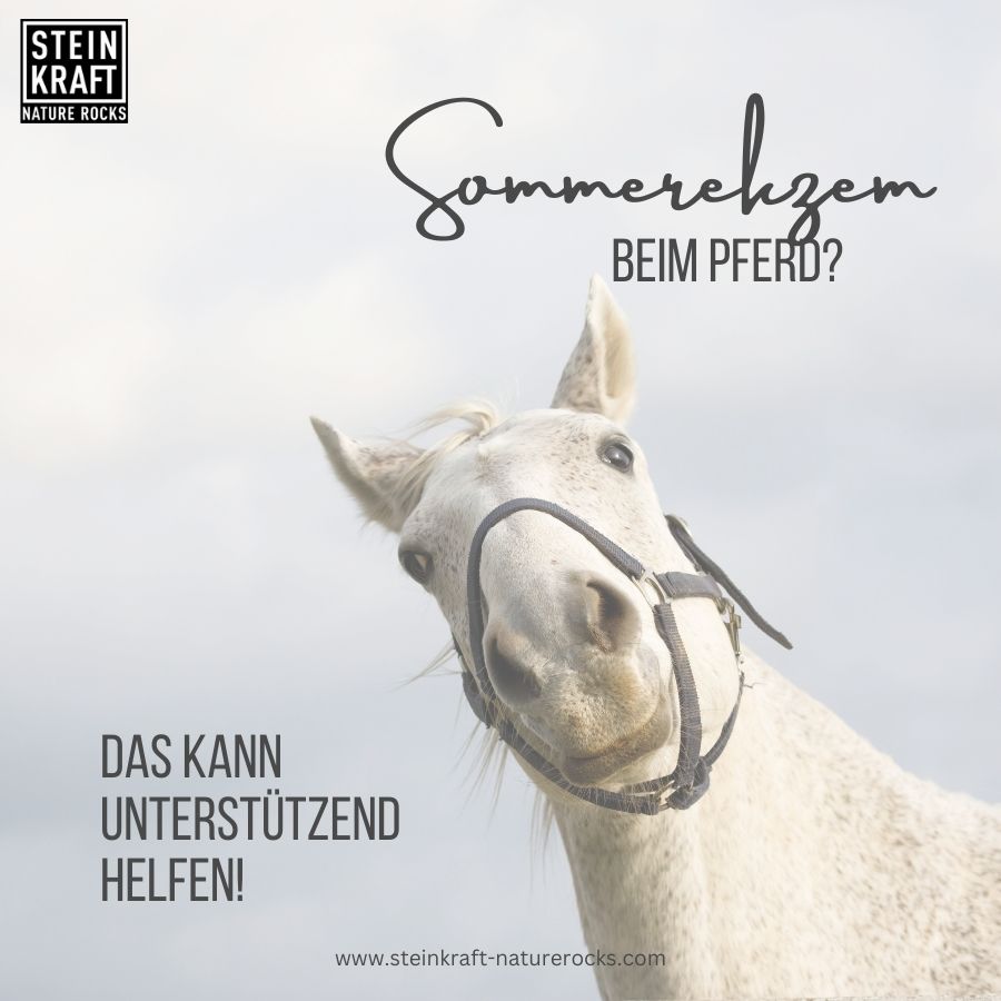 Sommerekzem beim Pferd - Schwarzkümmel und Zeolith hält Mücken fern.