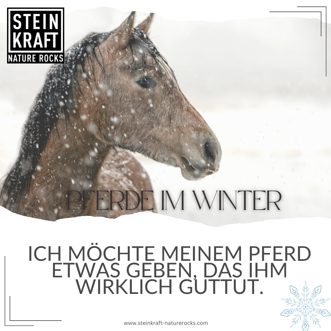 HORSEKRAFT Zeolith Pulver Pur Probe