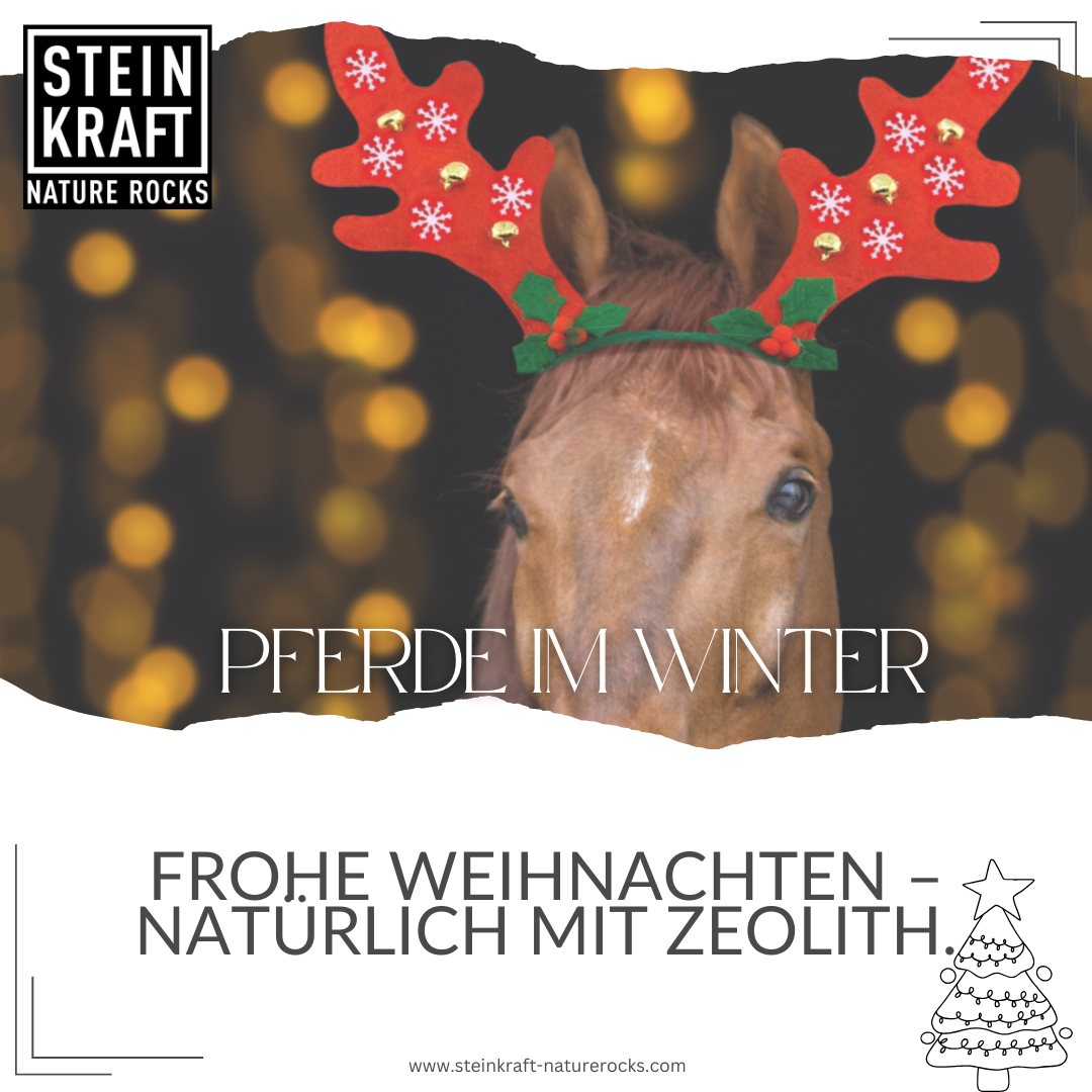 HORSEKRAFT Zeolith Pellets