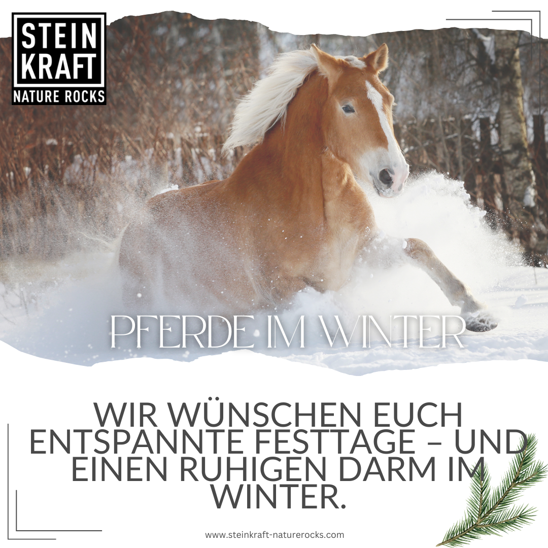 HORSEKRAFT Zeolith Pulver für Pferde