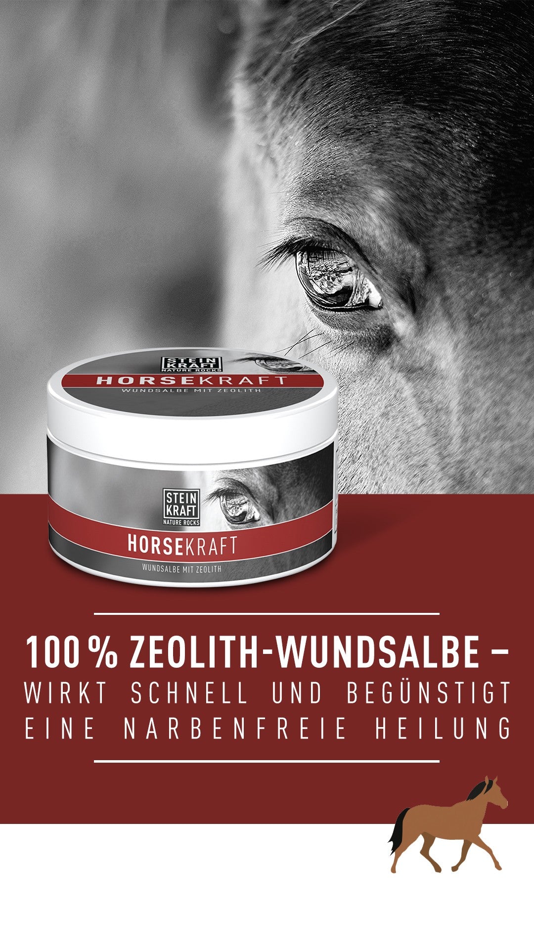 STEINKRAFT WUNDSALBE Zeolith für Pferde & Hunde wirkt schnell und begünstigt eine narbenfreie Heilung.