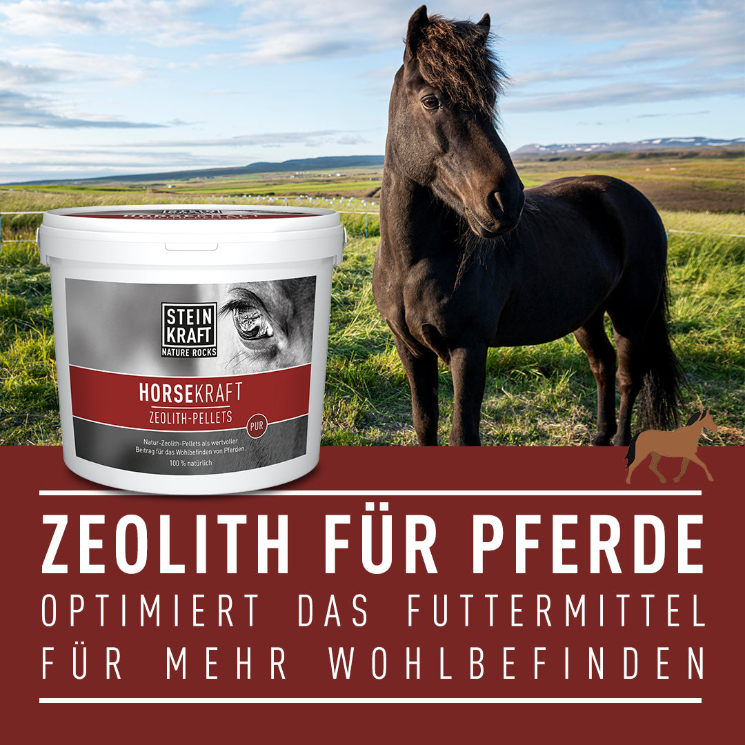 Zeolith Pellets für Pferde im 5 kg Kübel optimiert das Futtermittel indem es Schadstoffe bindet - hilft bei Kotwasser und Ekzemen.