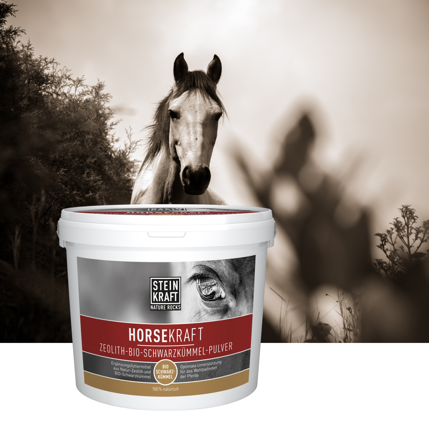 STEINKRAFT Zeolith für Pferde: Schwarzkümmel bei Sommerekzem hält Mücken fern.