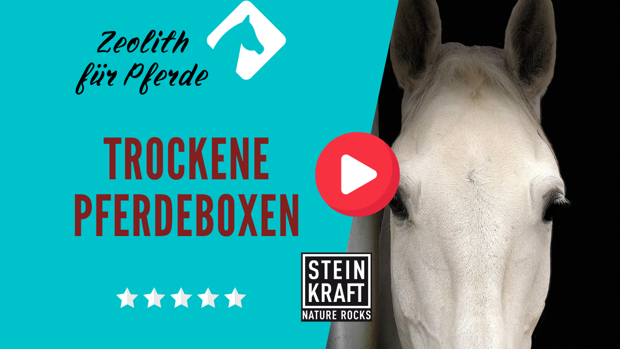 STEINKRAFT Zeolith für Pferde: Einstreu mit Zeolith für trockene Boxen - ein Anwendungsbericht. VIDEO