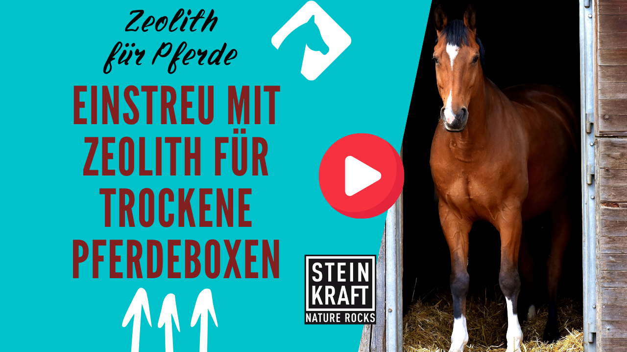 STEINKRAFT Zeolith für Pferde: Einstreu mit Zeolith für trockene Boxen - ein Anwendungsbericht. VIDEO