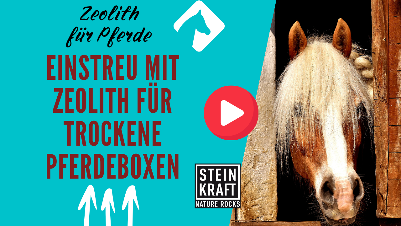 STEINKRAFT Zeolith für Pferde: Einstreu mit Zeolith für trockene Pferdeboxen. VIDEO