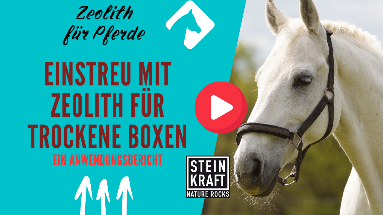 STEINKRAFT Zeolith für Pferde: Einstreu mit Zeolith für trockene Boxen - ein Anwendungsbericht. VIDEO
