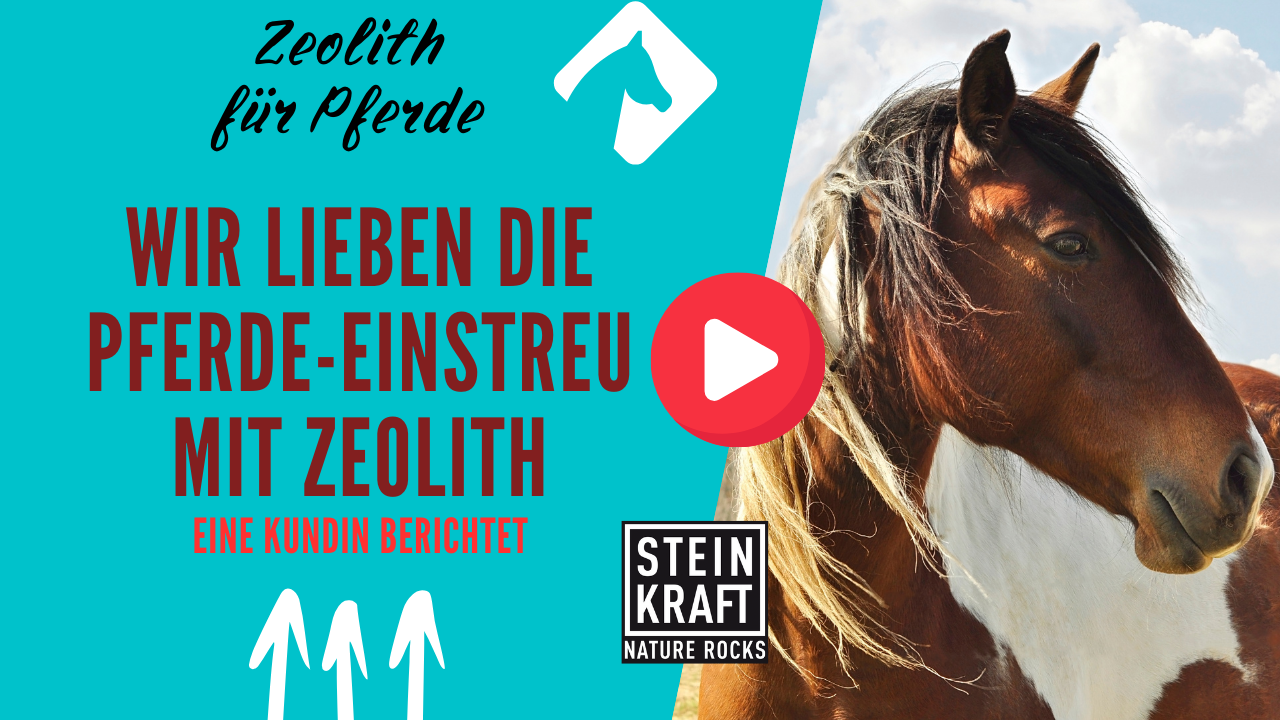 STEINKRAFT Zeolith Einstreu für Pferde - Wir lieben die Pferde-Einstreu mit Zeolith, eine Kundin beichtet. VIDEO