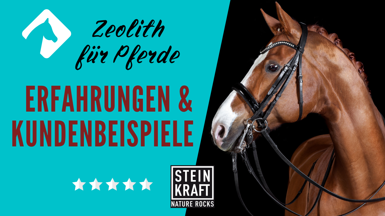 STEINKRAFT Zeolith für Pferde: Erfahrungen und viele Kundenbeispiele