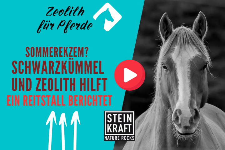 STEINKRAFT Zeolith und Schwarzkümmel für Pferde helfen bei Sommerekzem. Ein Reitstall berichtet. VIDEO