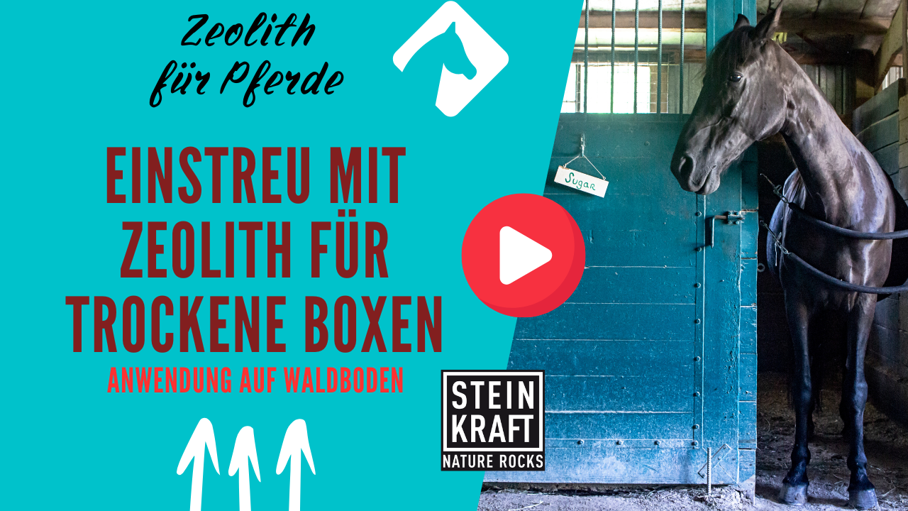 STEINKRAFT Pferde Einstreu - eine Kundenanwendung auf Waldboden - VIDEO