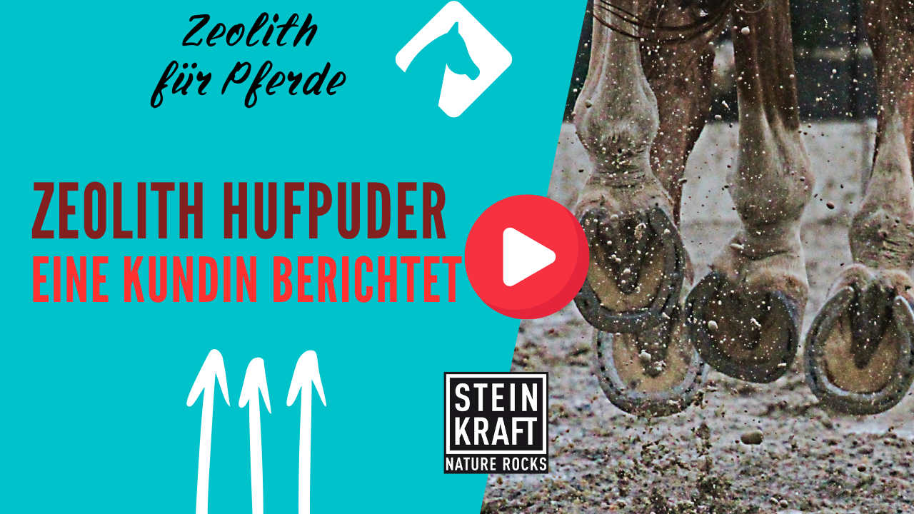 STEINKRAFT Zeolith für Pferde - eine Kundin berichtet über ihre Erfahrungen mit Hufpuder gegen feuchte Hufe - VIDEO