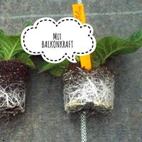 BALKONKRAFT Bio Zeolith Pellets