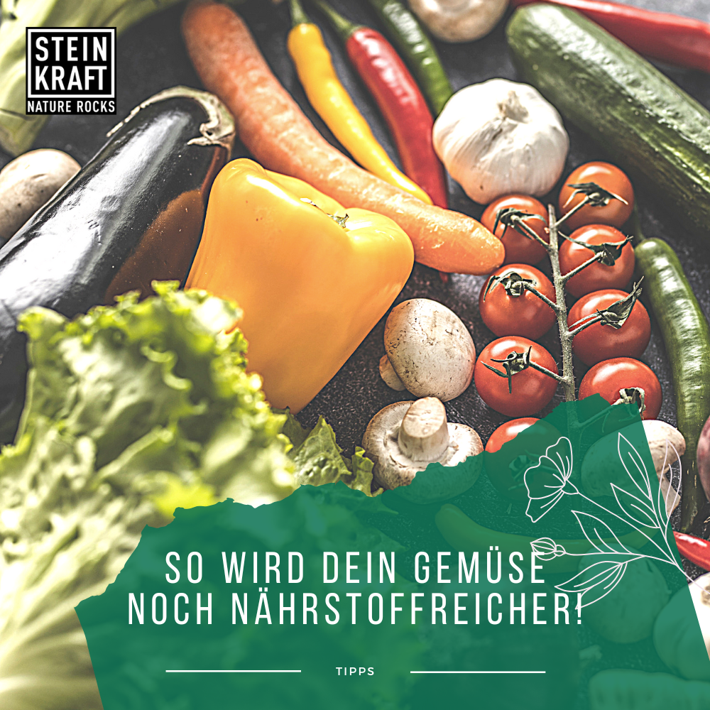 Mikroorganismen AM+PLUS Urlösung für Garten und Pflanzen