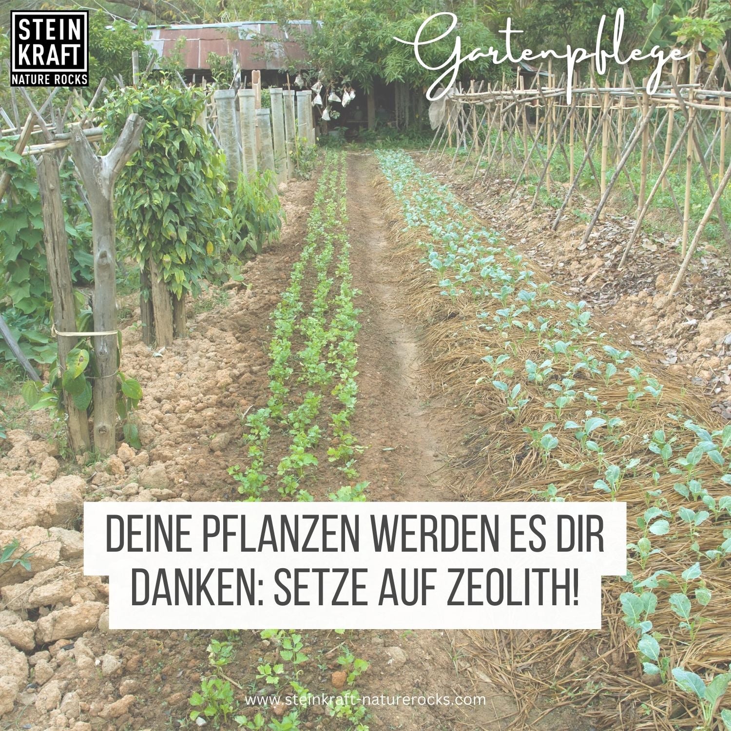 BODENKRAFT PUR aktivierter Zeolith 10kg - Pulver