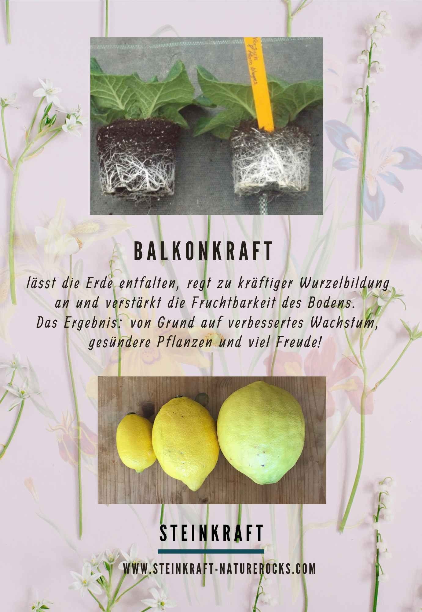 veganer Dünger mit Zeolith