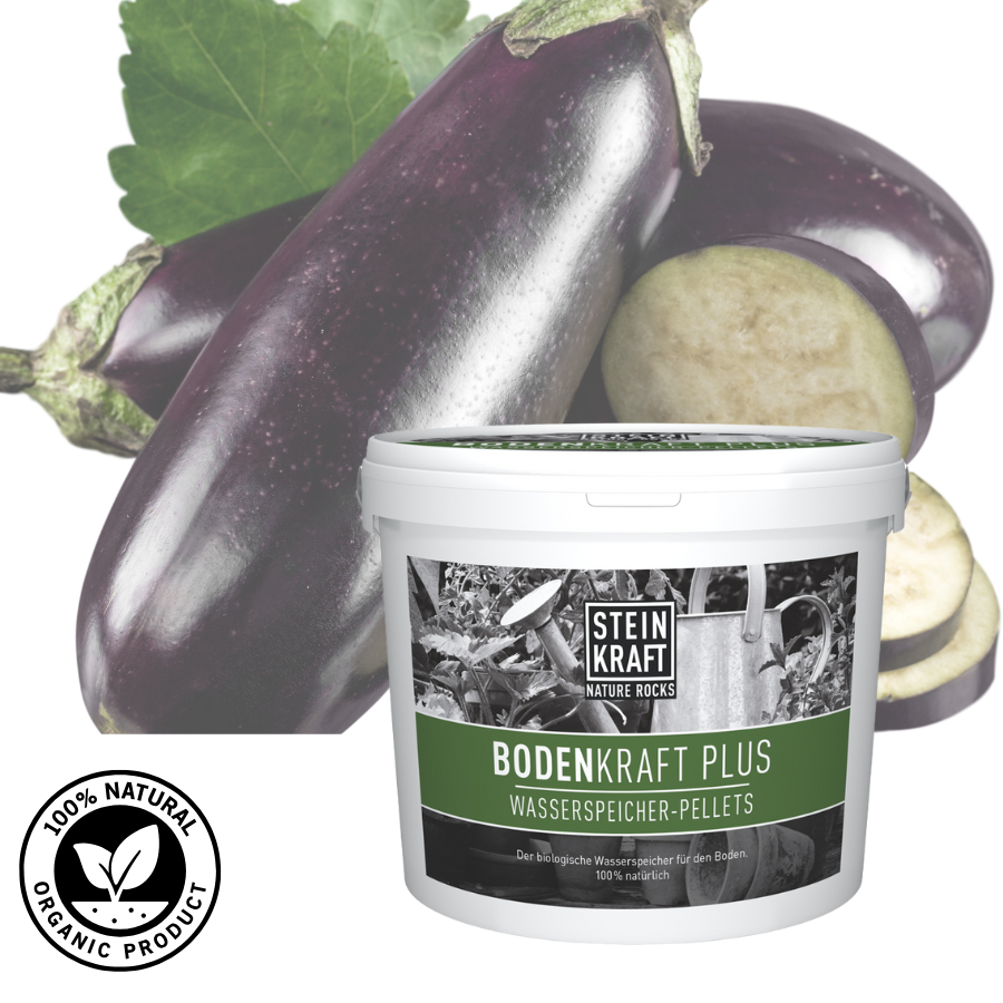 Gartenpflege Tipps zum Verbessern des Bodens: Vermiculit und Zeolith Pellets sind ein veganer natürlicher Wasserspeicher bei STEINKRAFT zu kaufen