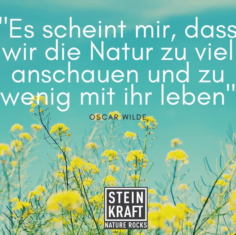Gartenpflege Tipps zum Verbessern des Bodens: Vermiculit und Zeolith Pellets sind ein veganer natürlicher Wasserspeicher bei STEINKRAFT zu kaufen