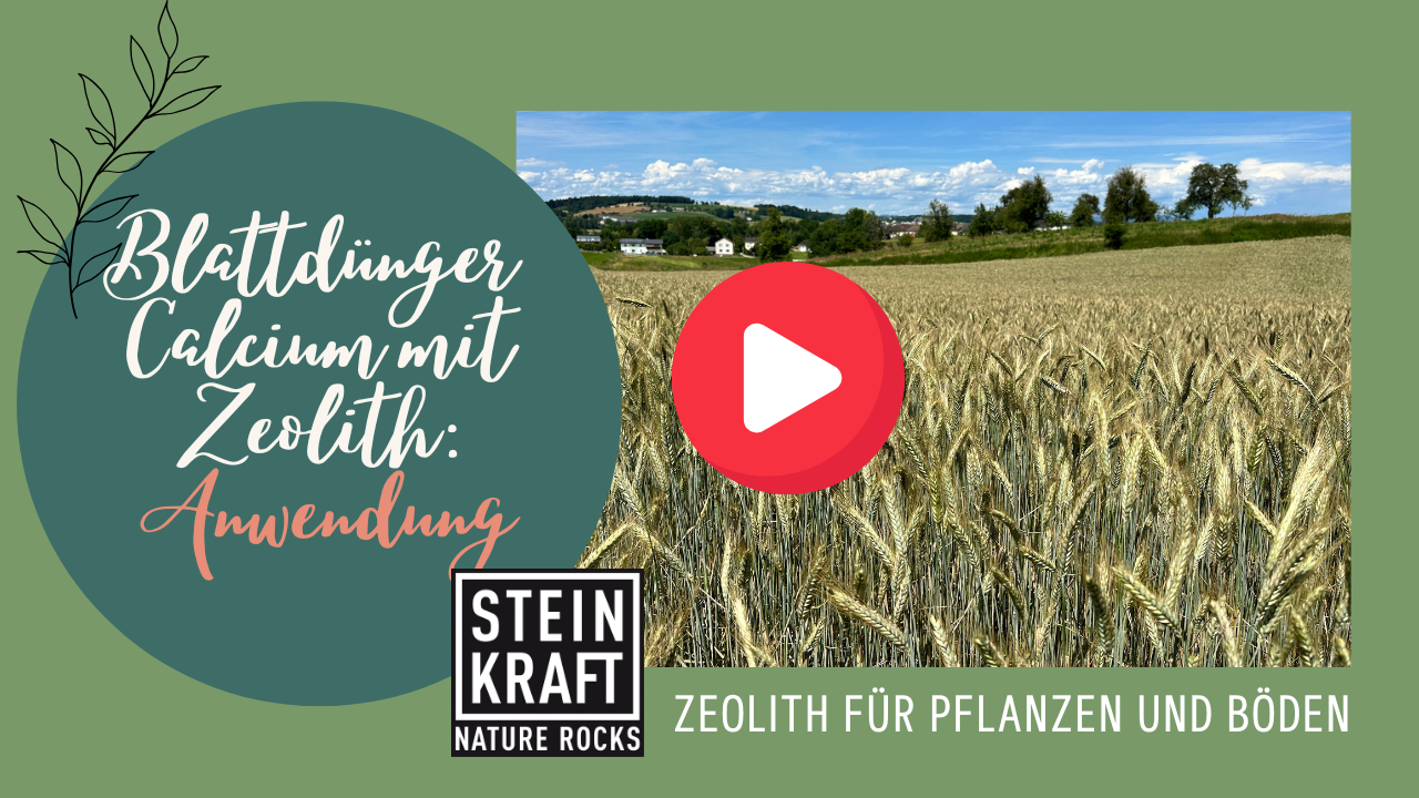 STEINKRAFT Zeolith für Pflanzen: Blattdünger Calcium mit Zeolith - Anwendungs- und Erklärvideo