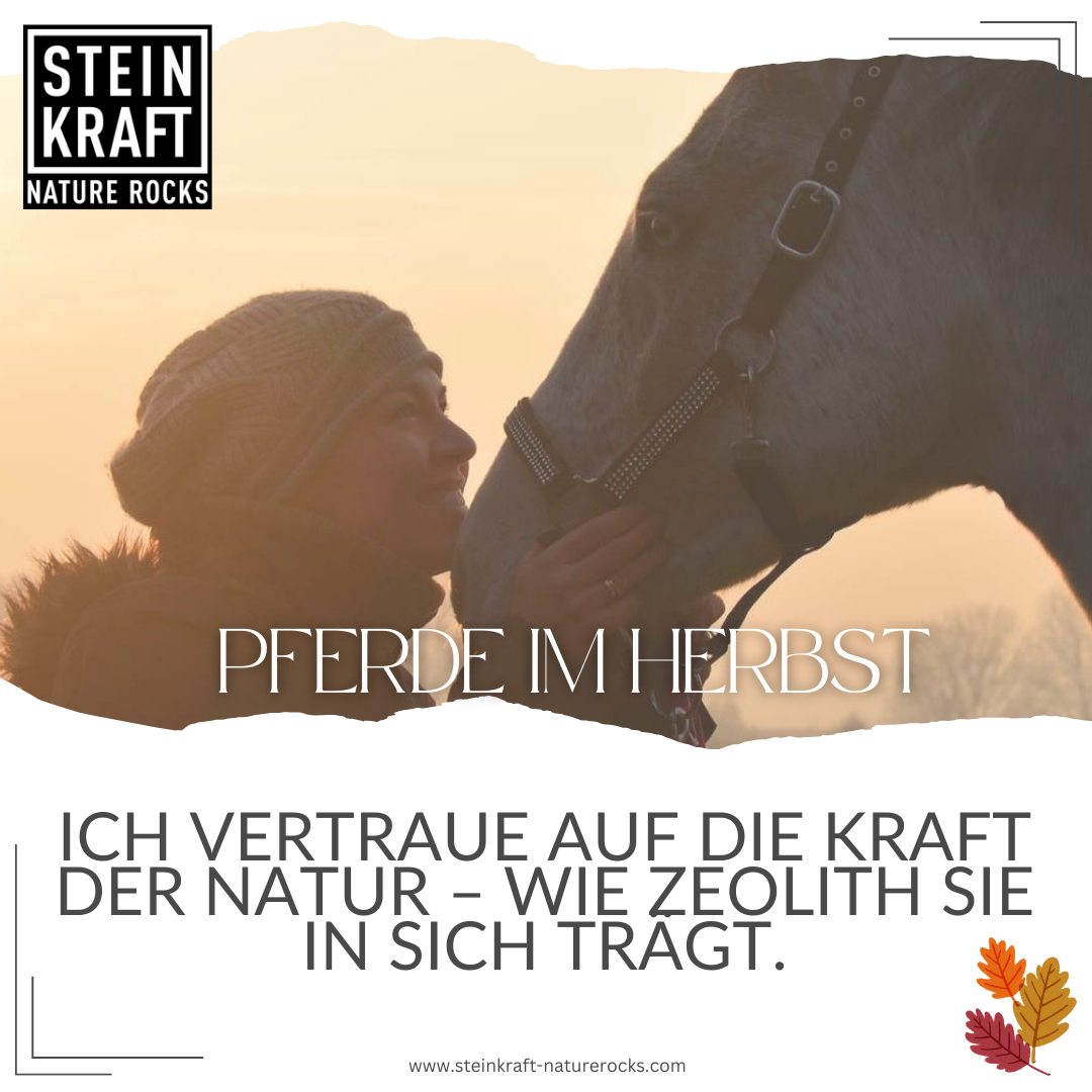 Zeolith Pulver für Pferde - Unterstützung im Herbst. Frau schaut liebevoll auf ihr Pferd: Ich vertraue auf die Kraft der Natur - wie Zeolith sie in sich trägt.