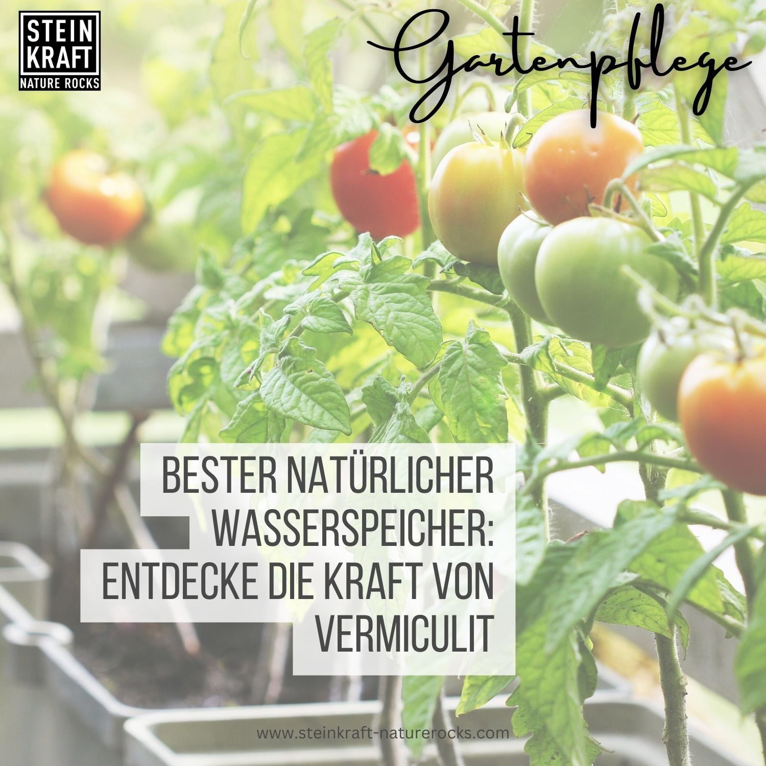 Gartenpflege Tipps zum Verbessern des Bodens: Vermiculit und Zeolith Pellets sind ein veganer natürlicher Wasserspeicher bei STEINKRAFT zu kaufen