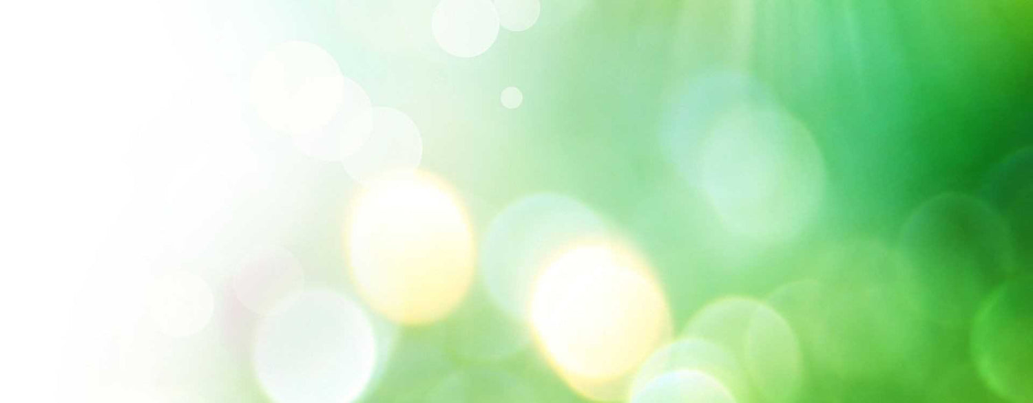 Die Grundauffassungen von Prof. Dr. Karl Hecht