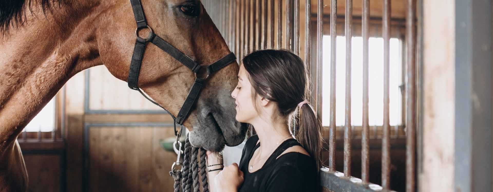 Pferd und Reiterin im Pferdestall - Tipps für Zeolith