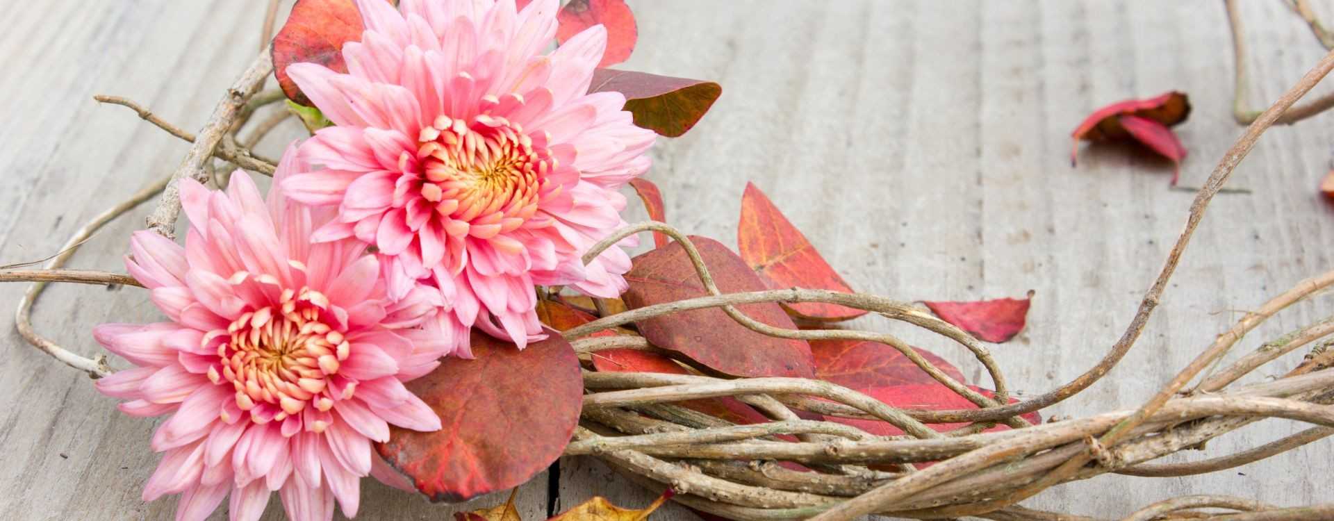 Gartenarbeiten im Herbst: Pflege für den Boden mit natürlichen Helfern