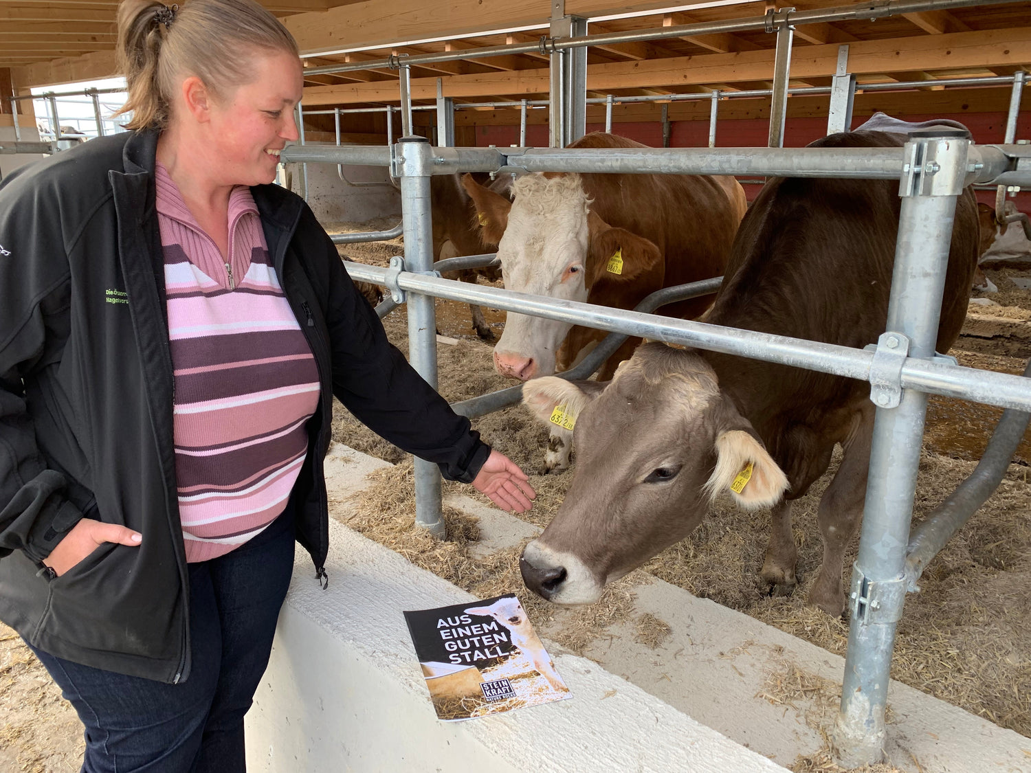 🐄 Zellzahlen in der Milch zu hoch — was wirklich hilft