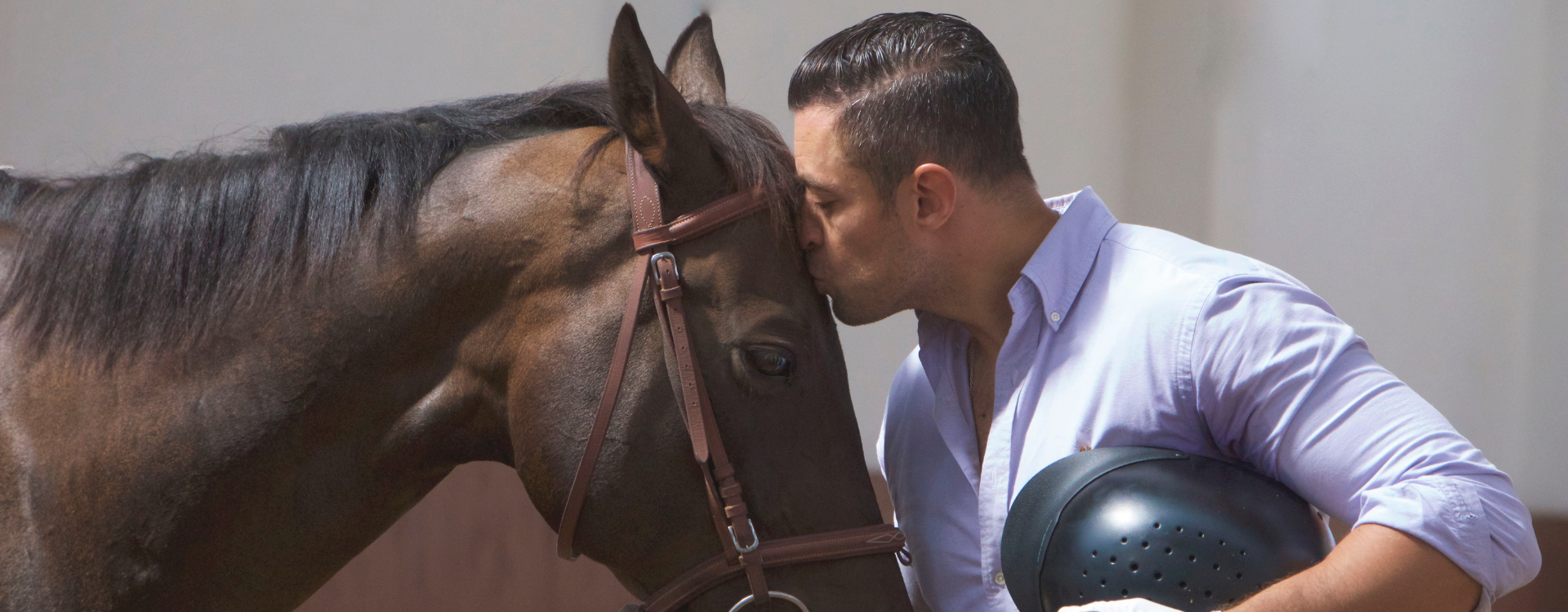 Alles, was Pferdebesitzer über Versicherungen wissen müssen: Ein Leitfaden für den optimalen Schutz