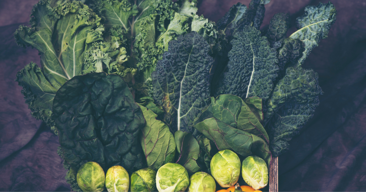 Paramagnetismus im Garten: Wie Basalt-Urgesteinsmehl unsere Böden belebt