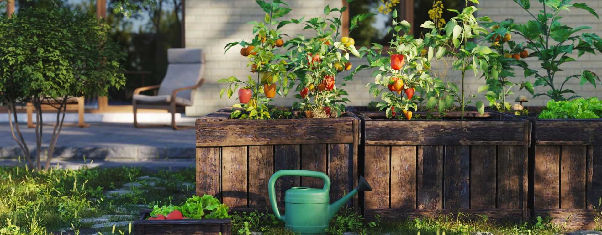 Bester natürlicher Wasserspeicher: Entdecken Sie die Kraft von Vermiculit