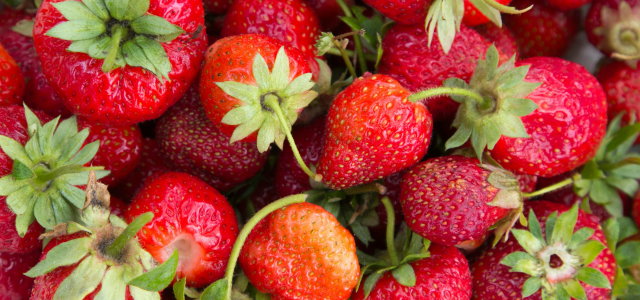 Steinkraft Zeolith nährstoffreiches Gemüse Blog Erdbeeren im Garten – klein, rot und voller Nährstoffe