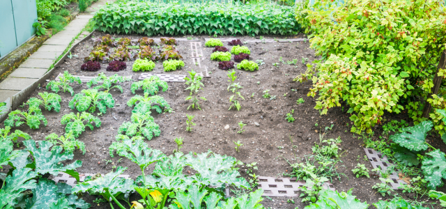 Boden-Diagnose: Was tun bei sandigem, lehmigem oder saurem Boden?