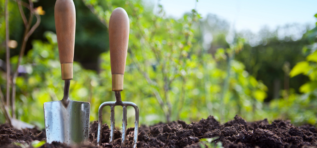 Steinkraft Zeolith Blog - Fehler bei Anwendung im Garten 