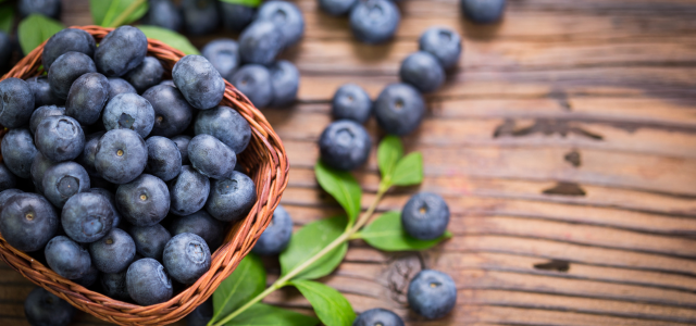 Heidelbeeren anbauen die wirklich leuchten — Anthocyane steigern, Krankheiten vorbeugen, Brix messen