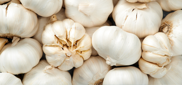 Knoblauch — die Wunderknolle