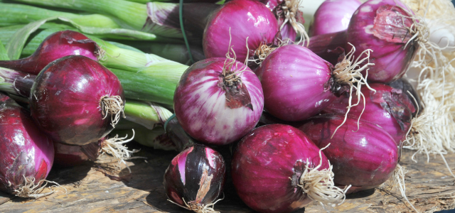 Die unterschätzte Königin des Gemüsegartens — warum rote Zwiebeln und Frühlingszwiebeln echte Superfoods sind