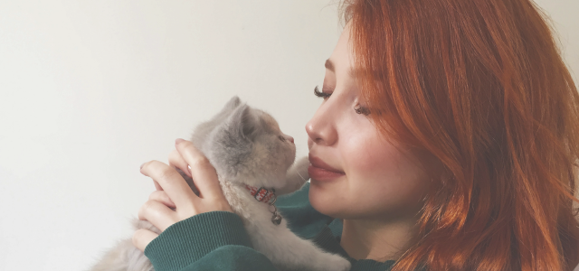 Katzenschnurren: Die heilende Kraft des Schnurrens