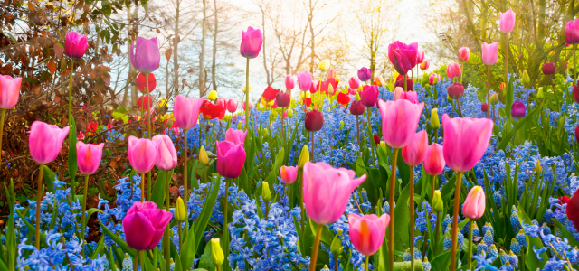 Alles neu macht der Frühling – Ausmisten leichtgemacht!